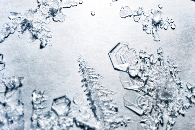 凍乾技術是什麼？一種創新的保存方法