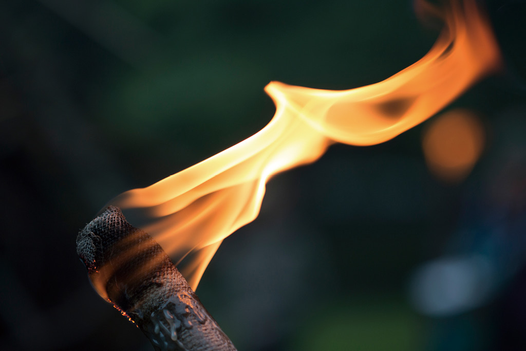 橄欖油——奧運會「永恆之火」燃料